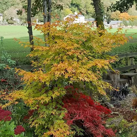 Oda ve Kahvaltı Lowther House